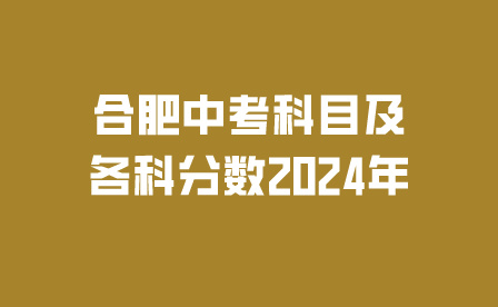 合肥中考科目及各科分數2024年