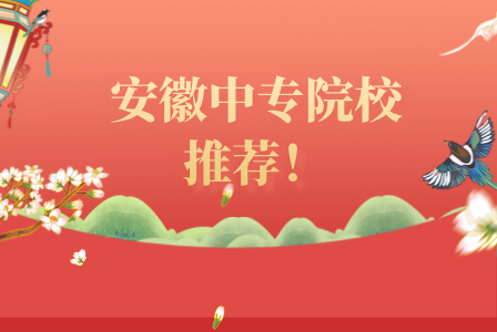 在安徽中考考了200分可以去哪些中專？