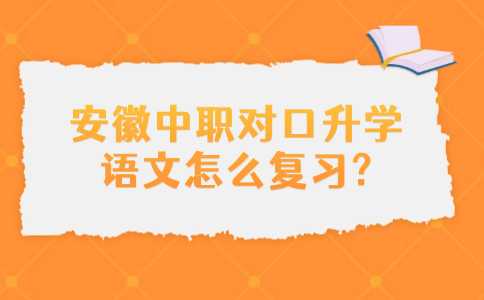 安徽中職對口升學語文怎么復習?