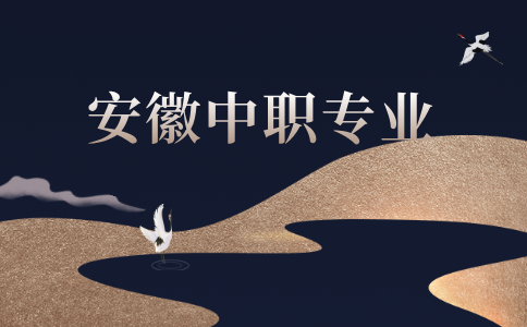 安徽中職